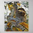 Recherche de sloth posters Image