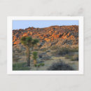 Recherche de arbre de joshua cartes postales Désert