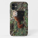 Recherche de panda rouge iphone coques Ours