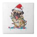 Recherche de chien de père noël carreaux Pug