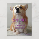 Recherche de short cartes postales Drôle
