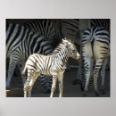 Recherche de zoo de bébé posters Animal