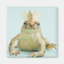 Recherche de photo de grenouille magnets Regarder l'appareil photo