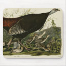 Recherche de turquie tapis souris Illustration