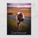 Recherche de dartmoor posters Parc national