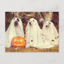 Recherche de chien en costume cartes postales Mignon