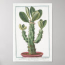 Recherche de botanicals posters Antique