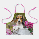 Recherche de beagles mignons tabliers Dog
