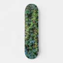 Recherche de vin skateboards Vert