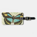 Recherche de papillons colorés bagages étiquettes Insectes