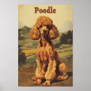 Recherche de caniche vintage posters Chiot