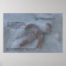 Recherche de baptêmes art Bible