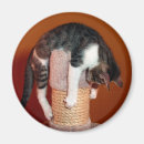 Recherche de appui magnets Drôle