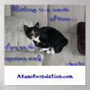 Recherche de petit somme de chat posters Humour