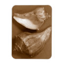 Recherche de renne magnets Nature