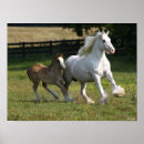 Recherche de foies posters Chevaux