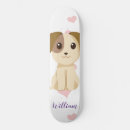 Recherche de puppys skateboards Chiot