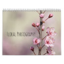 Recherche de iris photographie Lavande