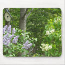 Recherche de arbuste tapis souris Arbres