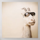 Recherche de asia posters Animal