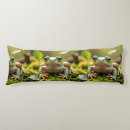 Recherche de ma grenouille coussins Pour tous