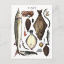 Recherche de illustration de crabe cartes postales Fruits de mer