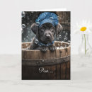 Recherche de noir labrador retriever vœux cartes Drôle