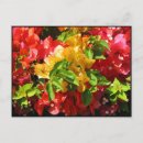 Recherche de bougainville cartes postales Floral