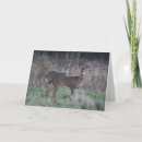 Recherche de faon de cerfs communs vœux cartes Forêt