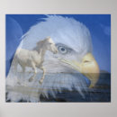 Recherche de tête de cheval posters Photographie