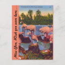 Recherche de flamant exotique cartes postales Floride