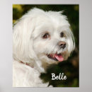 Recherche de jouets posters Mignon