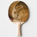 Recherche de chat domestique raquettes ping pong Animal