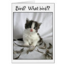 Recherche de petit oiseau photographie Mignon