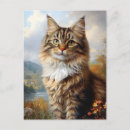 Recherche de maine coon cartes postales Amoureux des chats