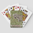 Recherche de reptiles jeux de cartes Iguane
