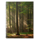 Recherche de tronc de carnets Paysage