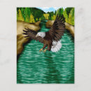 Recherche de aigle chauve cartes postales Dessin