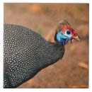 Recherche de casque carreaux Faune