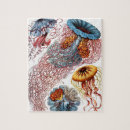 Recherche de méduse puzzles Mer