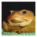 Recherche de philosophes posters Portrait