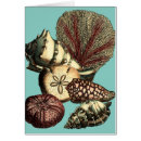 Recherche de varech cartes postales Étoiles de mer