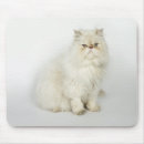 Recherche de chat persan tapis souris Mignon