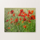 Recherche de pavot rouge puzzles Fleurs