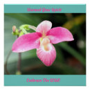 Recherche de orchidee posters Plante