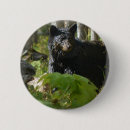 Recherche de cacher badges Animal