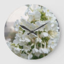 Recherche de fleurs blanches horloges Élégant