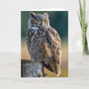 Recherche de la cor vœux cartes Faune
