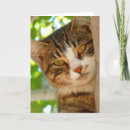 Recherche de yeux verts vœux cartes Photographe