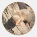 Recherche de mongolie autocollants Sauvage